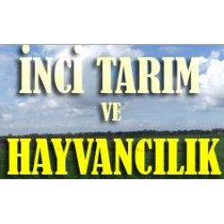 İnci Gün Isı Metal İşleri Tarım Mak. Oto. Hububat Hayv. Nak. İnş. Taah. San. Ve Tic. Ltd. Şti.