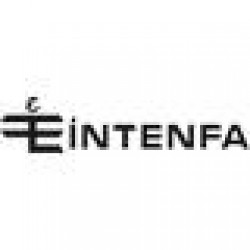 INTENFA GROUP INTERNATIONAL TRADE LTD. CO.