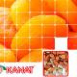 KANAT ZIRAI URUNLER SAN. VE TIC. A.S.