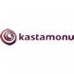 KASTAMONU ENTEGRE A.S.