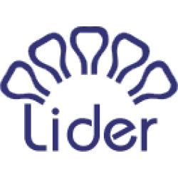 Lider Matbaa Mürekkepleri Ve Kimyasalları Ambalaj Sanayi Ve Ticaret A.ş.