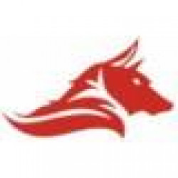 MANAS SAVUNMA SISTEMLERI A.S.