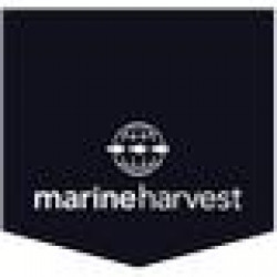 MARINE HARVEST A.S.