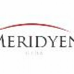 MERIDYEN GIDA LTD. STI.