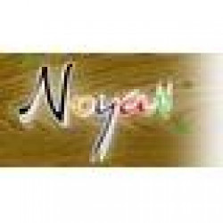 NOYAN ASKICILIK SAN. TIC. LTD. STI.