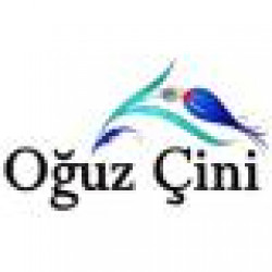 OĞUZ ÇİNİ