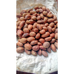 P pantez  services ltd