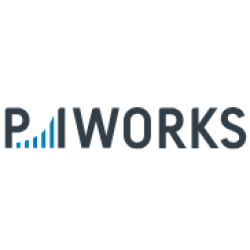 Piworks Tr Bilişim Hizmetleri Sanayi Ve Ticaret A.ş.