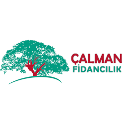Plantasia Fidanlığı
