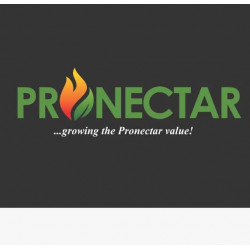 Pronectar Diction Limited