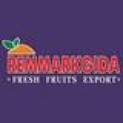 REMMARK GIDA SAN. LTD. STI.