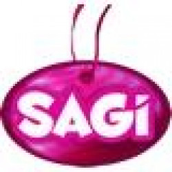 SAGI GIDA LTD. STI.