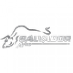 SALVADOR ARMS LTD. STI.