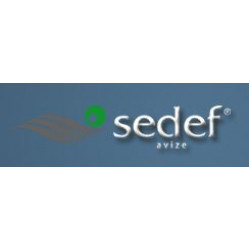 Sedef Avize