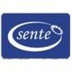 SENTE MAKINA LTD. STI.