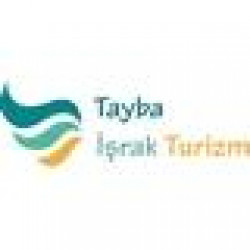 TAYBA ISRAK TURIZM VE DIS TICARET LTD. STI.