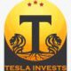 TESLA INVESTS DANISMA LTD. STI.