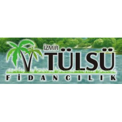 Tülsü Fidancılık