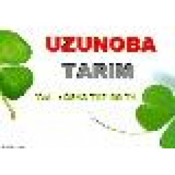 UZUNOBA