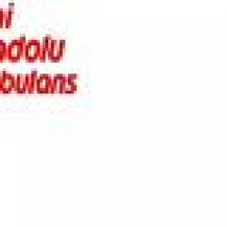 YENI ANADOLU AMBULANS IMALAT LTD. STI.